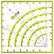 QuiltBox – 8 Inch Acrylic Quilting Ruler – thecraftyculture