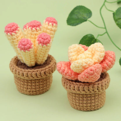 CactusCraft – Beginner Crochet Kit for Potted Plant Keychains